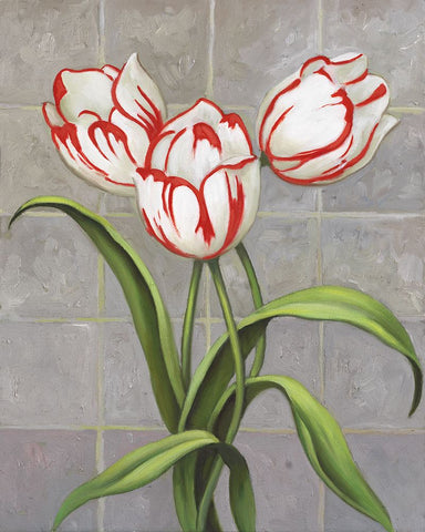 Red-Striped Tulips Black Modern Wood Framed Art Print by Zaccheo, John