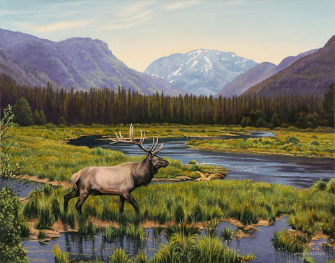 Meadows of Grand Lake, Colorado Black Modern Wood Framed Art Print by Zaccheo, John