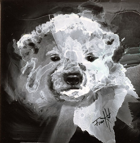 Polar Bear Cub Black Ornate Wood Framed Art Print with Double Matting by Art by Leslie Franklin