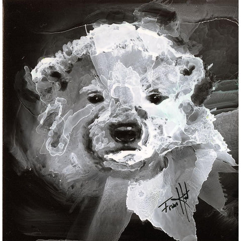 Polar Bear Cub Black Modern Wood Framed Art Print by Art by Leslie Franklin