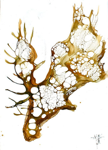 Cellular Series - Moose Black Ornate Wood Framed Art Print with Double Matting by Art by Leslie Franklin