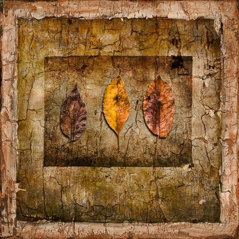 Autumn Leaves I White Modern Wood Framed Art Print with Double Matting by LightBoxJournal