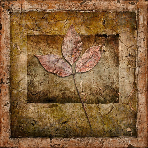 Autumn Leaves II White Modern Wood Framed Art Print with Double Matting by LightBoxJournal