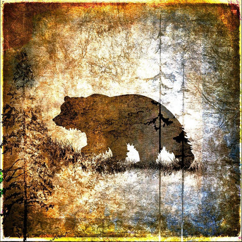 High Country Bear Gold Ornate Wood Framed Art Print with Double Matting by LightBoxJournal