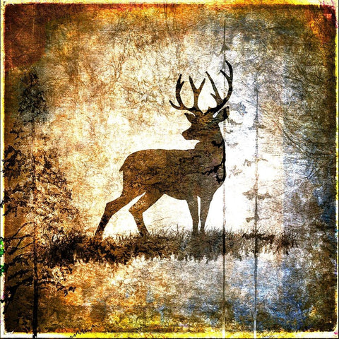 High Country Deer Black Modern Wood Framed Art Print with Double Matting by LightBoxJournal