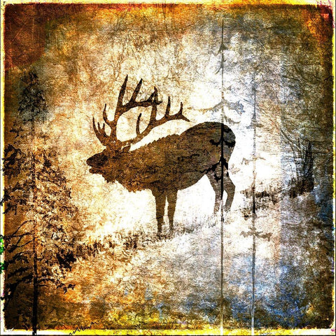 High Country Elk White Modern Wood Framed Art Print by LightBoxJournal