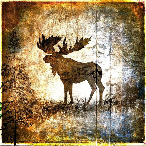 High Country Moose Gold Ornate Wood Framed Art Print with Double Matting by LightBoxJournal