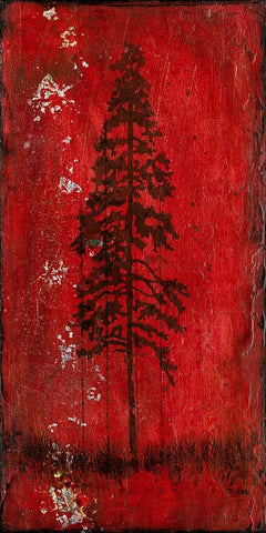 Lodge Pole Pine Black Ornate Wood Framed Art Print with Double Matting by LightBoxJournal
