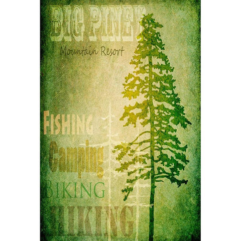 Big Piney White Modern Wood Framed Art Print by LightBoxJournal