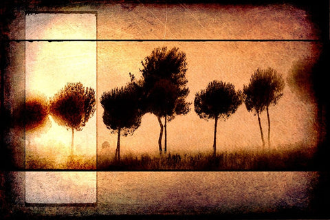 For the Love of Trees I Black Ornate Wood Framed Art Print with Double Matting by LightBoxJournal
