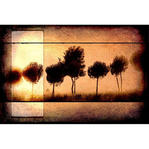 For the Love of Trees I Gold Ornate Wood Framed Art Print with Double Matting by LightBoxJournal