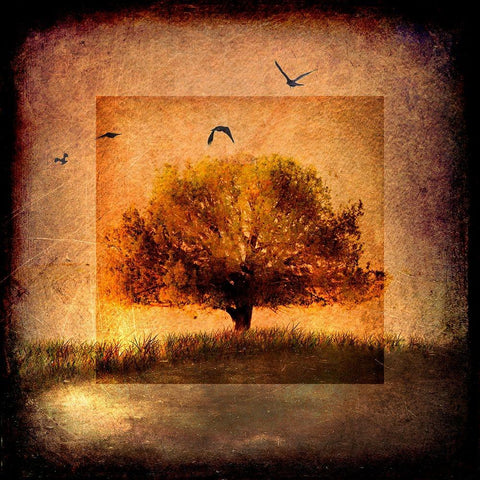For the Love of Trees III White Modern Wood Framed Art Print by LightBoxJournal