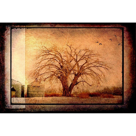 For the Love of Trees IV White Modern Wood Framed Art Print by LightBoxJournal