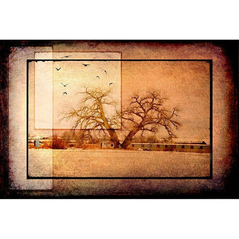 For the Love of Trees V Black Modern Wood Framed Art Print with Double Matting by LightBoxJournal