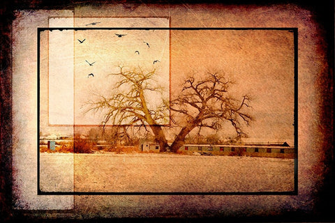 For the Love of Trees V White Modern Wood Framed Art Print with Double Matting by LightBoxJournal