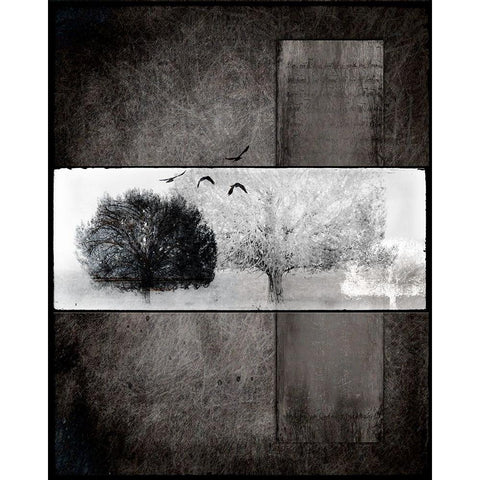 Black Tree 1 White Modern Wood Framed Art Print by LightBoxJournal