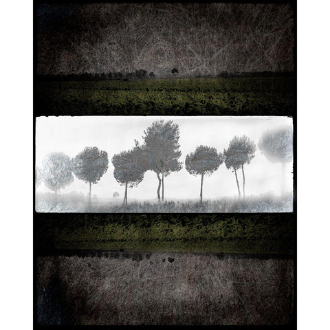Black Tree 2 Black Modern Wood Framed Art Print by LightBoxJournal