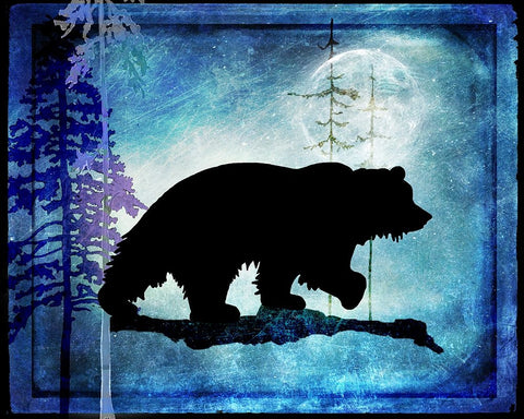Midnight Bear Black Ornate Wood Framed Art Print with Double Matting by LightBoxJournal