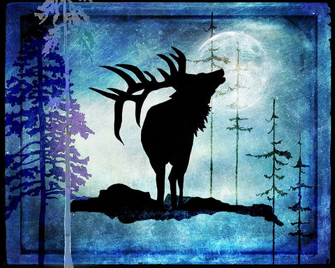 Midnight Elk White Modern Wood Framed Art Print with Double Matting by LightBoxJournal