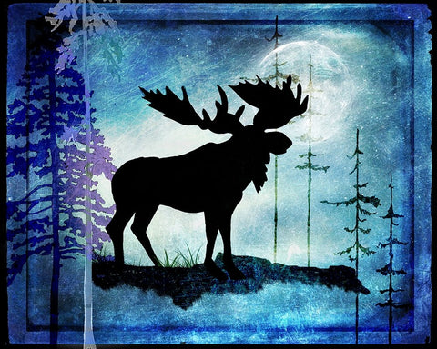 Midnight Moose Black Ornate Wood Framed Art Print with Double Matting by LightBoxJournal