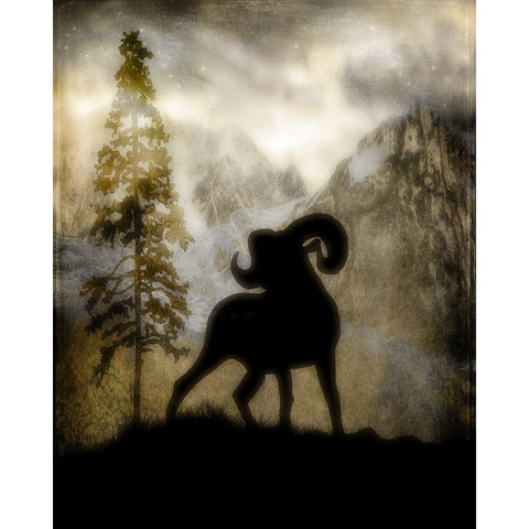 Mystic Big Horn Black Modern Wood Framed Art Print with Double Matting by LightBoxJournal