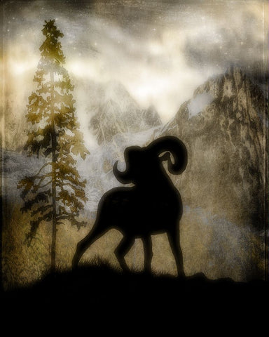 Mystic Big Horn Black Ornate Wood Framed Art Print with Double Matting by LightBoxJournal