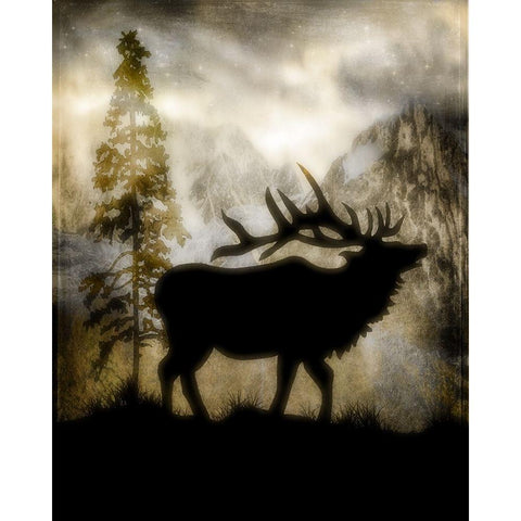 Mystic Elk Black Modern Wood Framed Art Print with Double Matting by LightBoxJournal