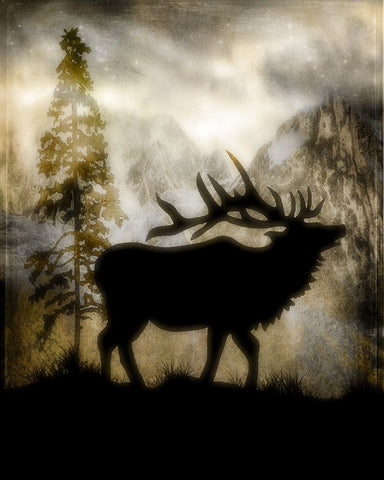 Mystic Elk White Modern Wood Framed Art Print with Double Matting by LightBoxJournal