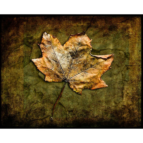Metallic Leaf 1 Black Modern Wood Framed Art Print by LightBoxJournal