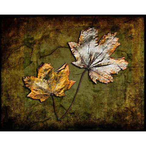 Metallic Leaf 2 Gold Ornate Wood Framed Art Print with Double Matting by LightBoxJournal