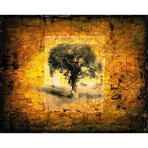 Shadow Trees Black Modern Wood Framed Art Print with Double Matting by LightBoxJournal