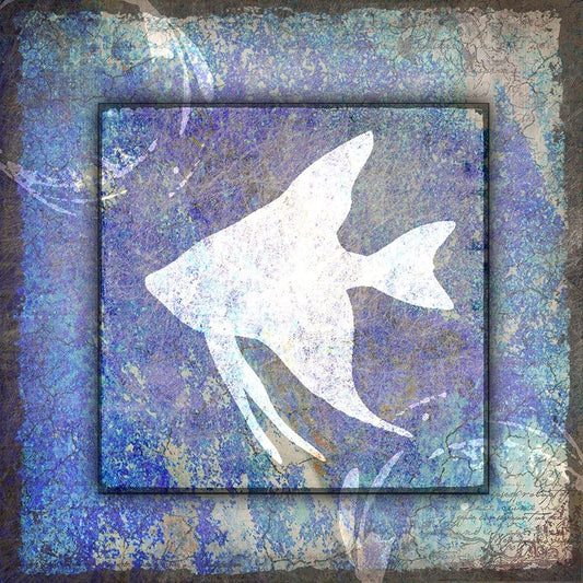 Image Only