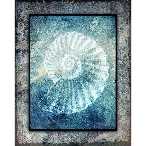 Hello Beach Shell I White Modern Wood Framed Art Print by LightBoxJournal