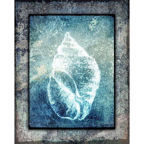Hello Beach Shell II Black Modern Wood Framed Art Print by LightBoxJournal