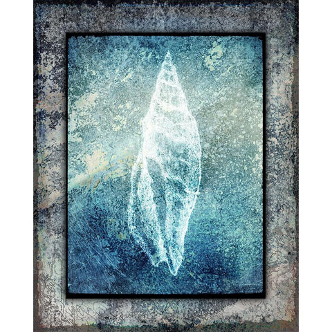 Hello Beach Shell III White Modern Wood Framed Art Print by LightBoxJournal