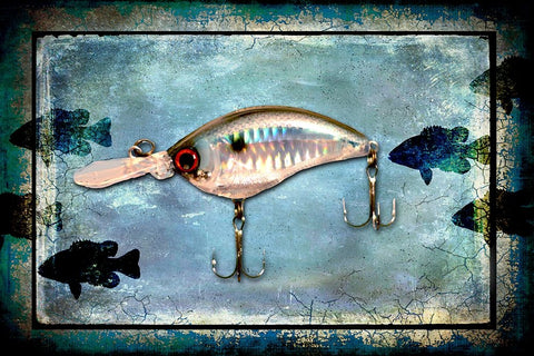 Fishing - Big Mouth Lure White Modern Wood Framed Art Print with Double Matting by LightBoxJournal