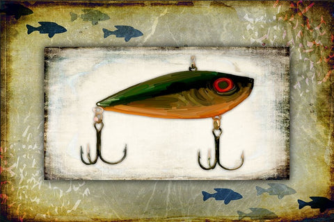 Fishing - Bait Lure White Modern Wood Framed Art Print with Double Matting by LightBoxJournal