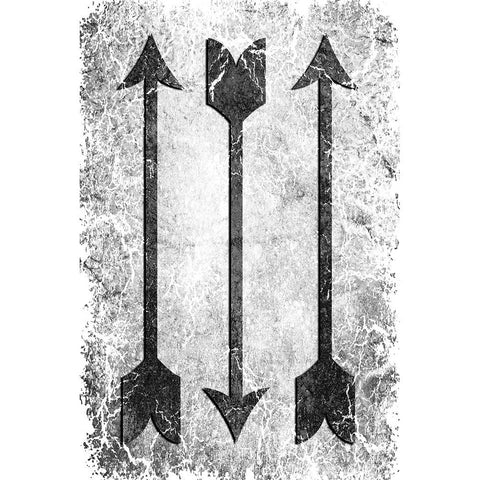 Arrow 2 Gold Ornate Wood Framed Art Print with Double Matting by LightBoxJournal