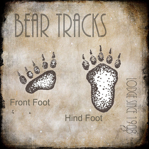 Moose Lodge 2 - Bear Tracks 2 Black Ornate Wood Framed Art Print with Double Matting by LightBoxJournal
