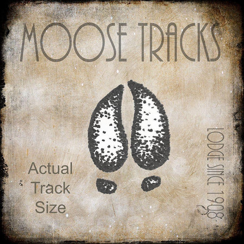 Moose Lodge 2 - Moose Tracks 2 White Modern Wood Framed Art Print by LightBoxJournal