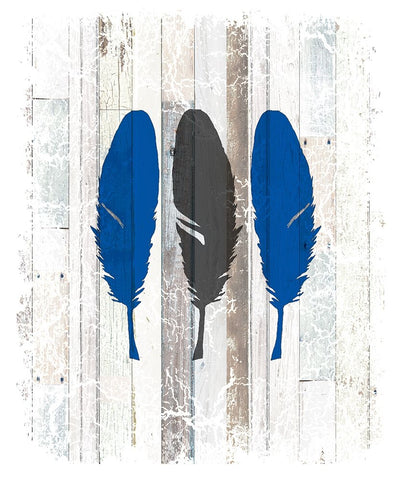 The Blue Moose - Feathers White Modern Wood Framed Art Print with Double Matting by LightBoxJournal