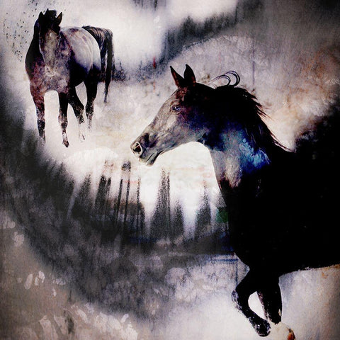 Black Mare - Dream 1 Black Modern Wood Framed Art Print with Double Matting by LightBoxJournal