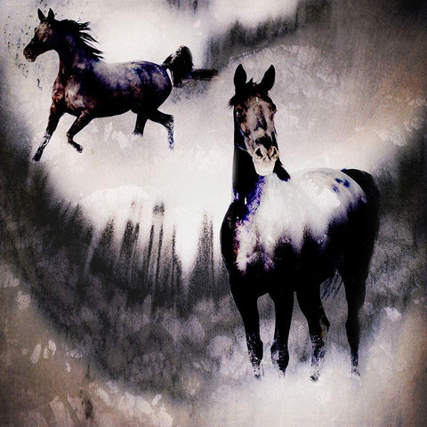 Black Mare - Dream 2 Gold Ornate Wood Framed Art Print with Double Matting by LightBoxJournal