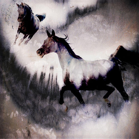 Black Mare - Dream 3 White Modern Wood Framed Art Print by LightBoxJournal