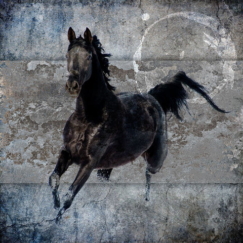 Black Mare 1 Black Ornate Wood Framed Art Print with Double Matting by LightBoxJournal