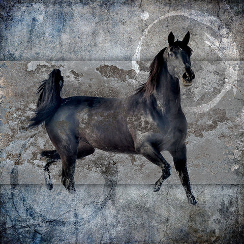 Black Mare 2 White Modern Wood Framed Art Print with Double Matting by LightBoxJournal