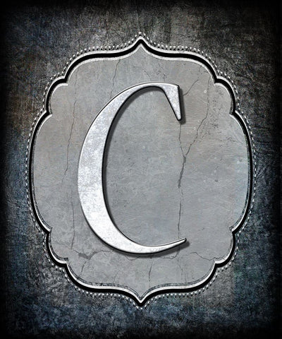 Letter C White Modern Wood Framed Art Print with Double Matting by LightBoxJournal