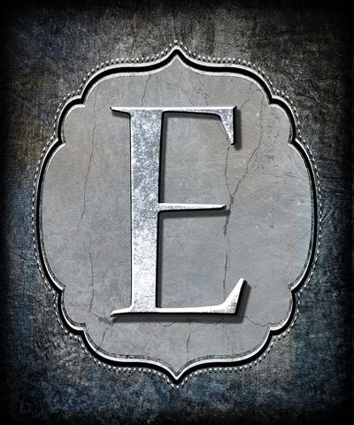 Letter E Black Ornate Wood Framed Art Print with Double Matting by LightBoxJournal