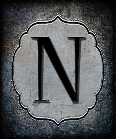 Letter N Black Ornate Wood Framed Art Print with Double Matting by LightBoxJournal