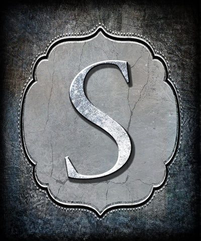 Letter S Black Ornate Wood Framed Art Print with Double Matting by LightBoxJournal